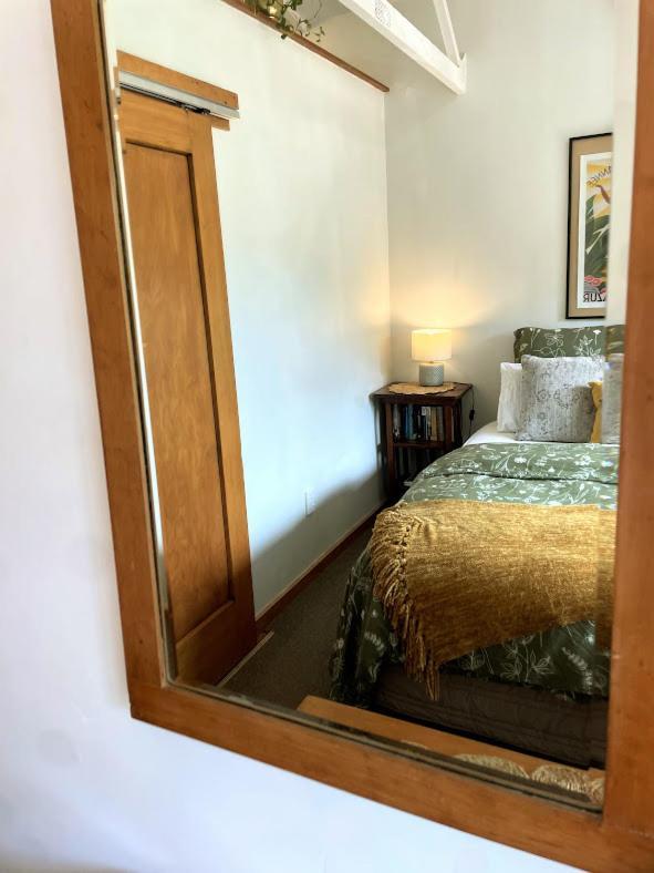 Gully Hideaway Apartment 汉密尔顿 外观 照片